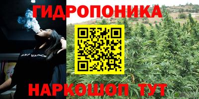 прущие грибы Бердск