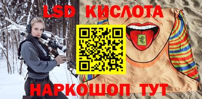 прущие грибы Бердск