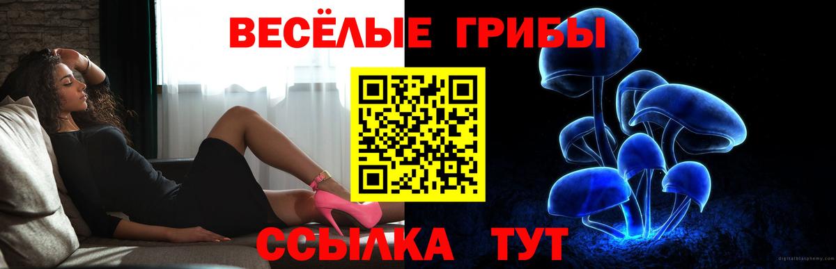 Великий Новгород  Псилоцибиновые грибы GOLDEN TEACHER  Галлюциногенные грибы Psilocybe  Вход с VPN 